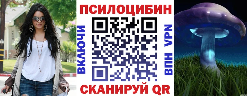 купить  цена  Болохово  Галлюциногенные грибы Psilocybe 